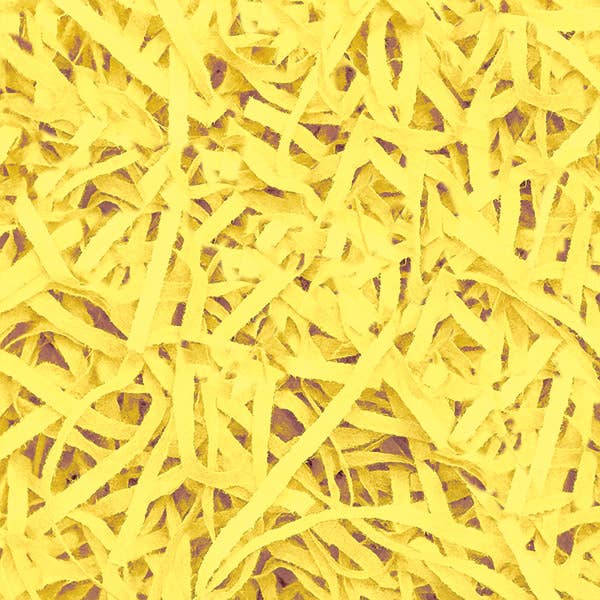 Recycled Paper Tissue Shreds