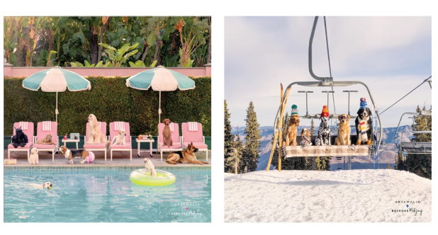 Getaway Dogs Double Sided Mat - Bespoke x Gray Malin
