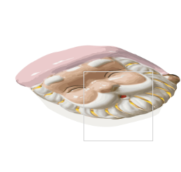 PINK SANTA PLATTER