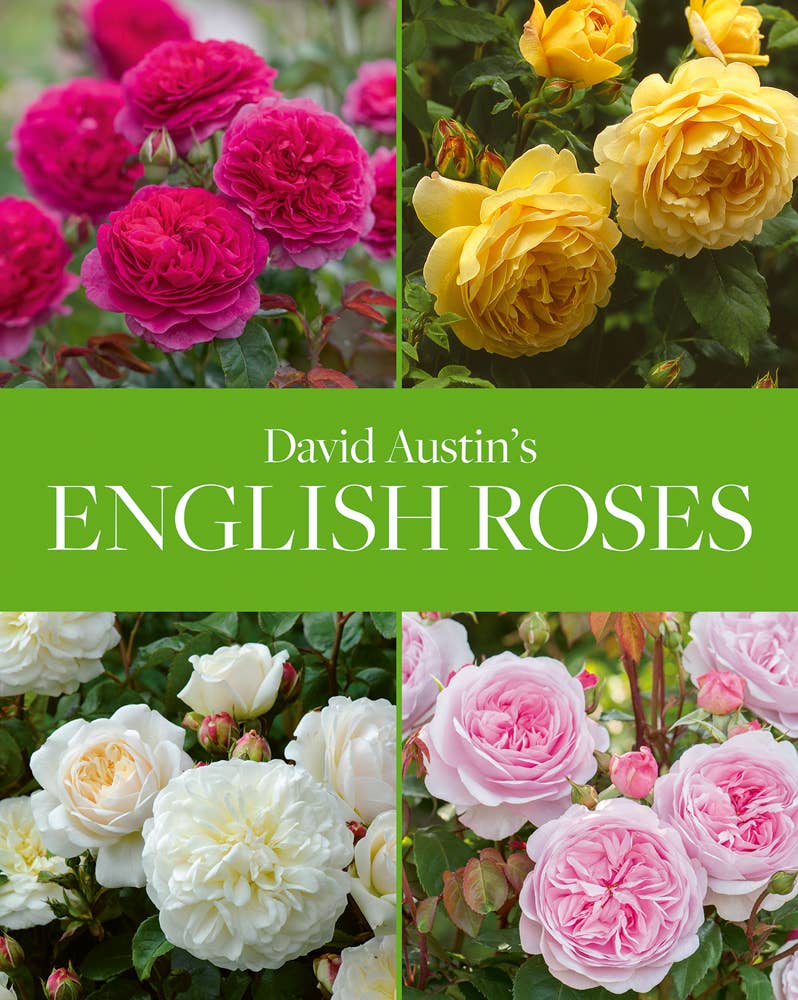 Englsih Roses ACC Art Books Ltd - David Austin's English Roses – Home 2 Court