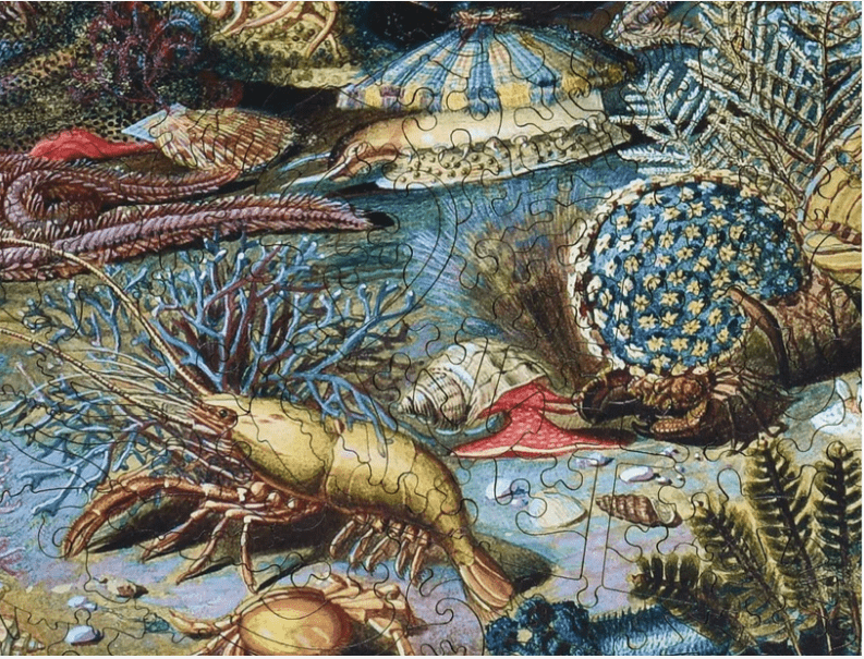 Classic Wooden Jigsaw Puzzles - Collection - Liberty Puzzles - Home 2 Court