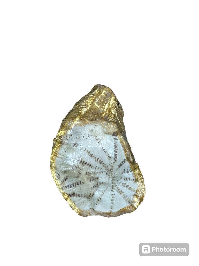 Gold Oyster Shell Trinket Dish - Goldilocks - Medium - Home 2 Court