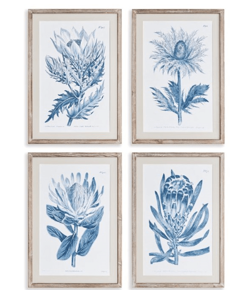 Indigo Protea Prints, Set of 4 - Napa Home & Garden - Home 2 Court