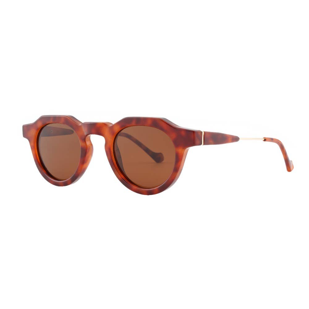KOA Tortoise Brown Lens - Ryan Simkhai Eyeshop