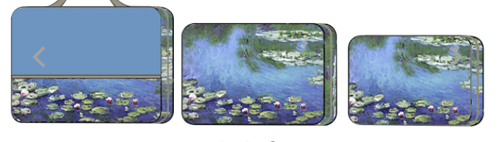 Water Lilies 3 PC Packing Cube Set - Home 2 Court